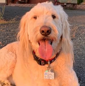 Meet your Posher, Jaime